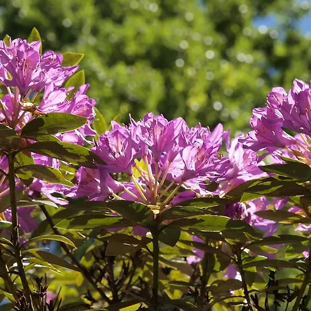 Valle Paraizo Casa rural *