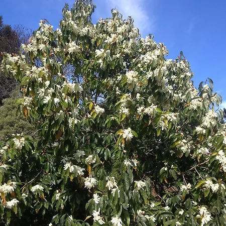 Casa rural Valle Paraizo *