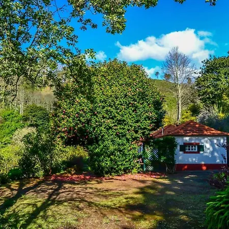 Valle Paraizo * Camacha (Madeira)