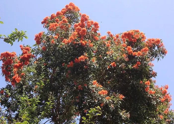 Venkovský dům Valle Paraizo