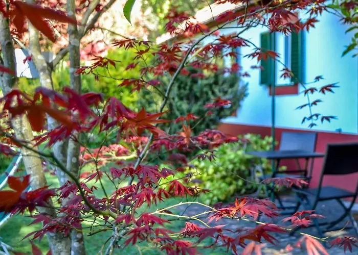 Valle Paraizo * Camacha (Madeira)