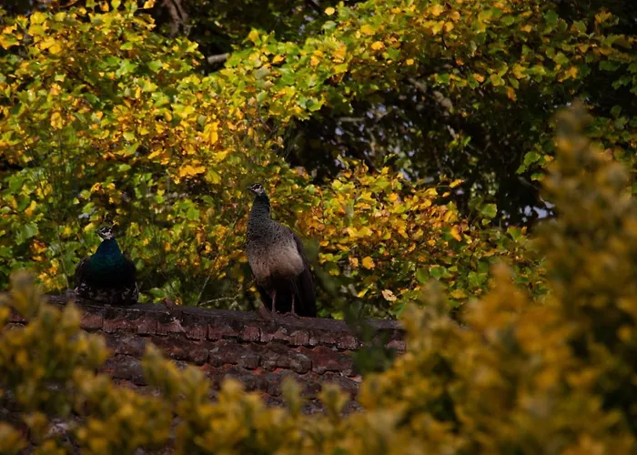 Valle Paraizo Εξοχικό σπίτι