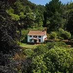 Valle Paraizo Camacha (Madeira)