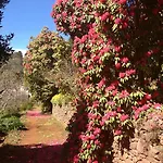 Valle Paraizo *
