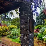 Valle Paraizo * Camacha (Madeira)