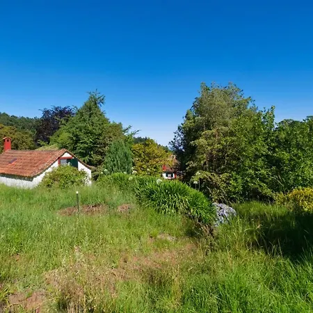 Valle Paraizo * Camacha (Madeira)