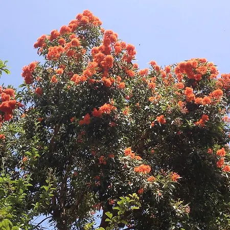 Landsted Valle Paraizo