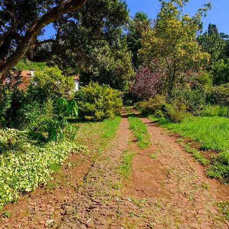 Valle Paraizo Camacha (Madeira)