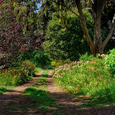 Valle Paraizo * Camacha (Madeira)