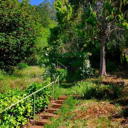 Country house Valle Paraizo Camacha (Madeira)