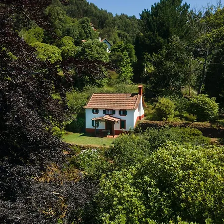Valle Paraizo Camacha (Madeira)