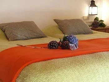 Valle Paraizo Camacha (Madeira)