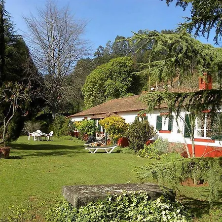 Valle Paraizo * Camacha (Madeira)