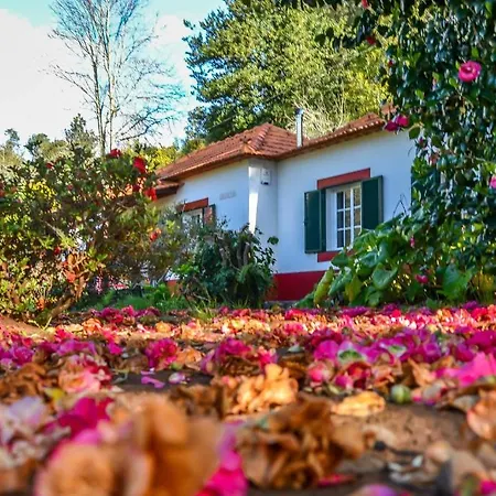 Valle Paraizo Camacha (Madeira)