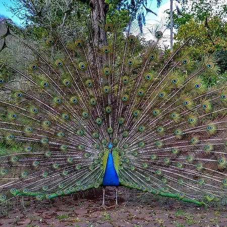 Valle Paraizo *
