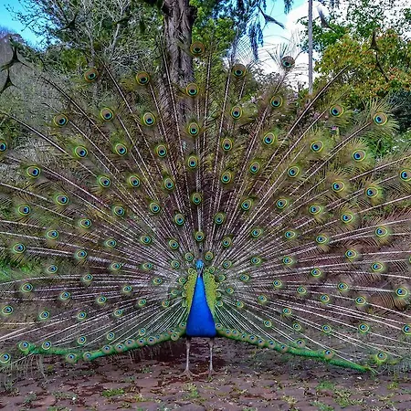 Valle Paraizo *