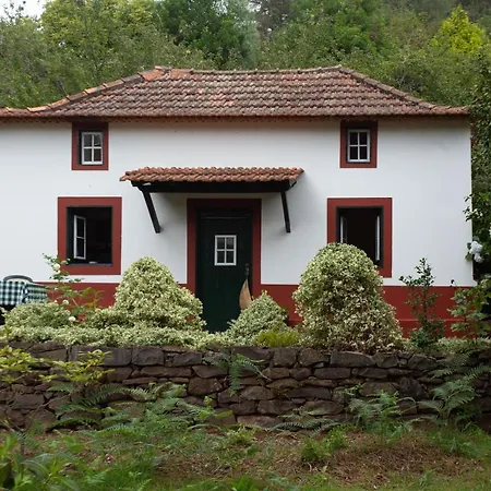 Valle Paraizo * Camacha (Madeira)