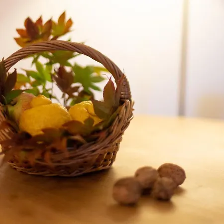 Valle Paraizo Lantställe *