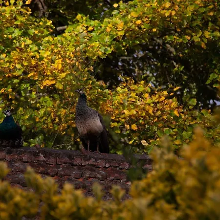 Valle Paraizo Lantställe