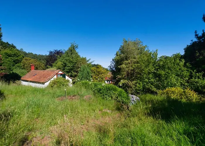 Valle Paraizo * Camacha (Madeira)