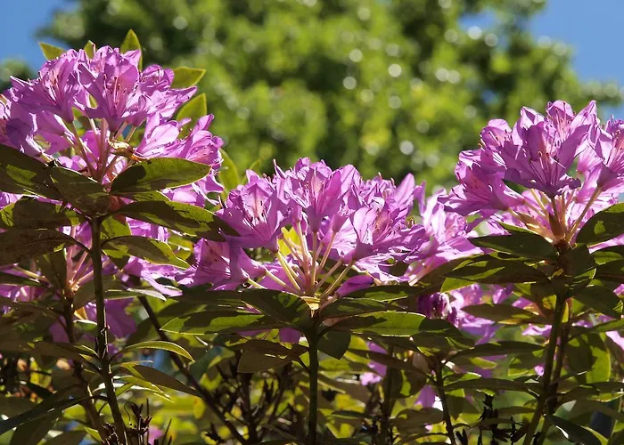 Valle Paraizo Country house *