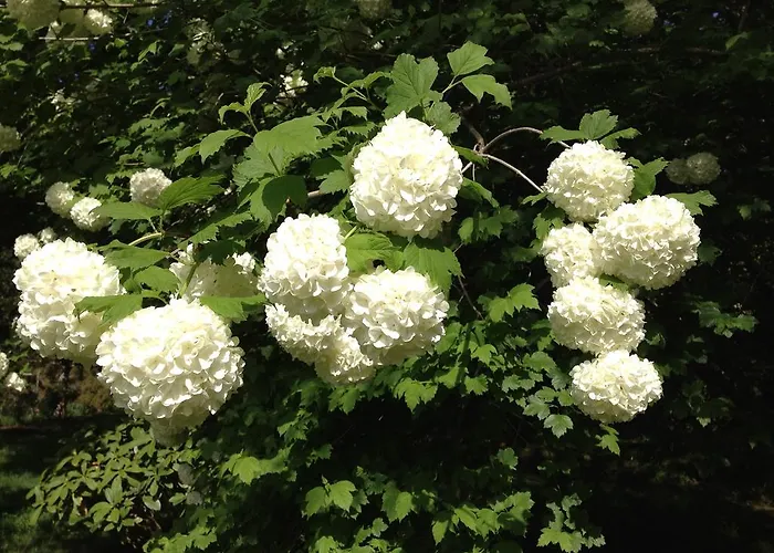 Country house Valle Paraizo