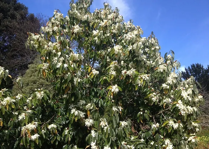 Country house Valle Paraizo *