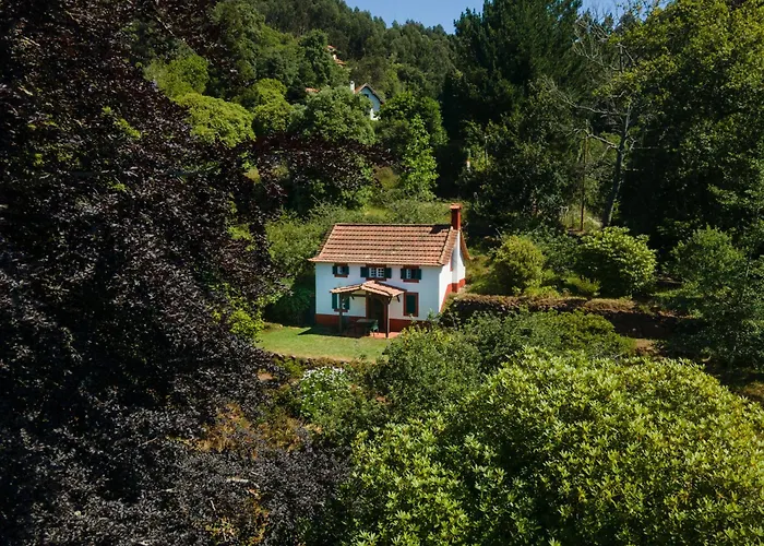 Valle Paraizo Camacha (Madeira)