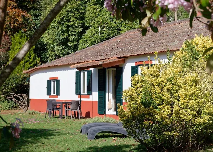 Valle Paraizo Camacha (Madeira)