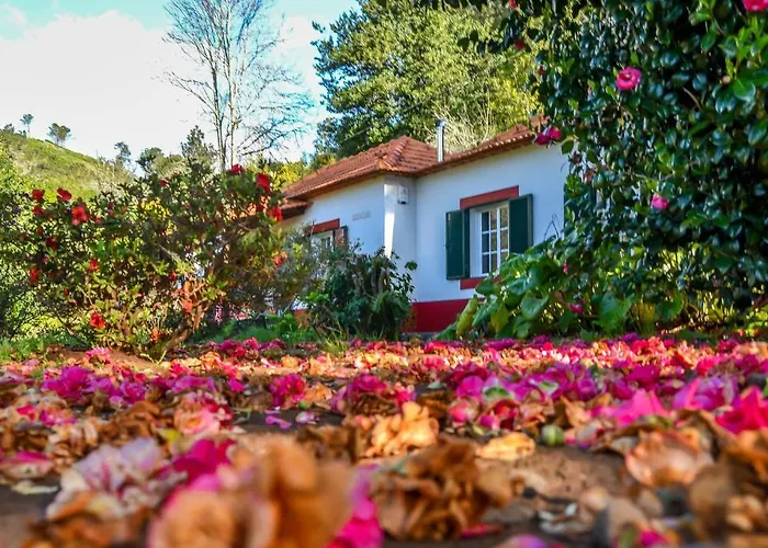 Valle Paraizo Camacha (Madeira)
