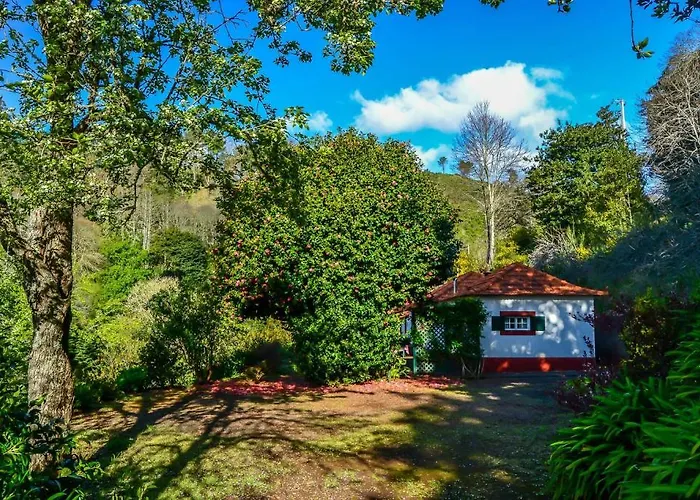 Valle Paraizo * Camacha (Madeira)