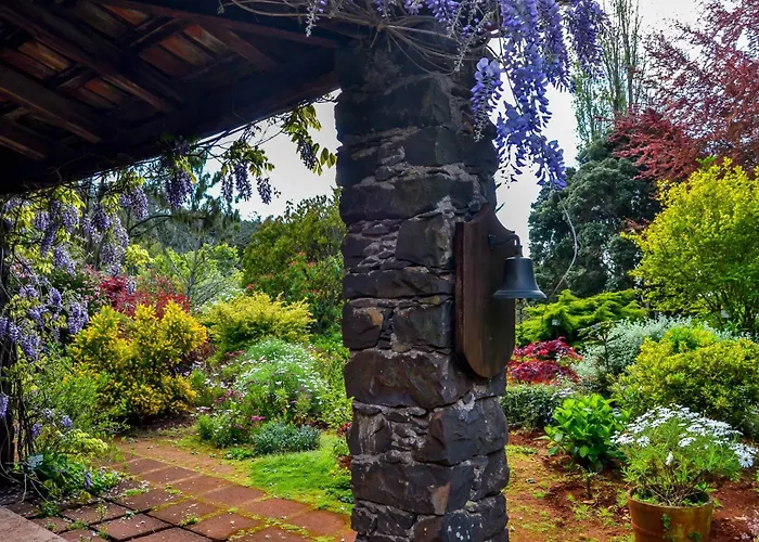 Valle Paraizo * Camacha (Madeira)