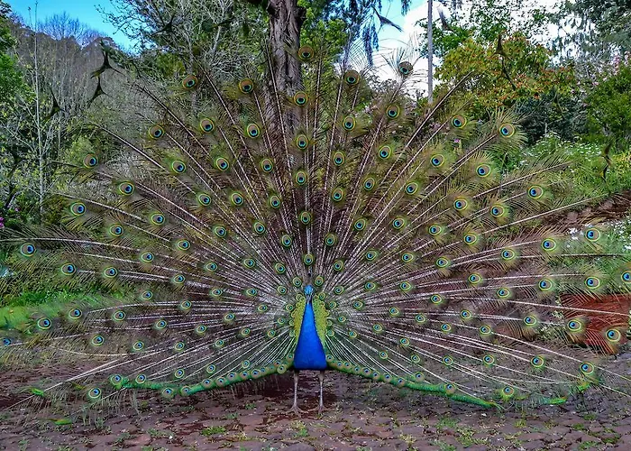 Valle Paraizo *